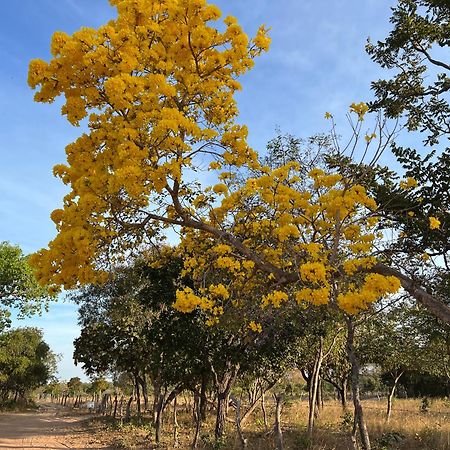 Fervedouro E Pousada Por Enquanto Sao Felix do Tocantins Εξωτερικό φωτογραφία